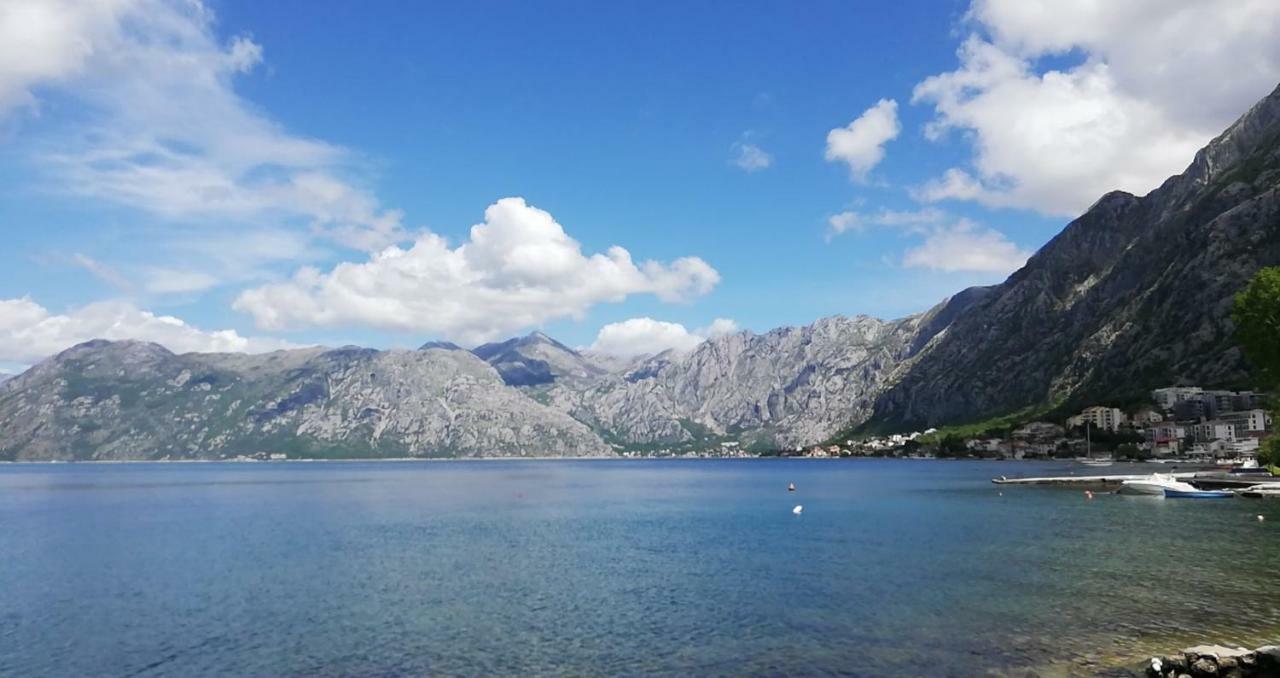 Apartment Radulovic Kotor Exteriör bild